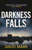 Книга Darkness Falls