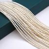 A Natural Freshwater Pearl Small Pearl Rice-Shaped Beads 3-4mm For Jewelry Making DIY Necklace Braclet Earrings Accessory