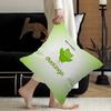 Funnyt DDuolingo cm Cushion Cover Pillow Cover Decor Pillowcase Home Pillowcase for Couch Pillow