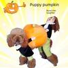 Funny Pumpkin Costume for Dogs - Pet Outfit with Pumpkin Carrying Design