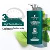 Шампунь Schwarzkopf Men's Mint Vitality 450 мл