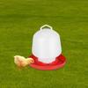 Chicken Drinker Hanging Large Water Dispenser with Carry Handle Quail Waterer for Chickens