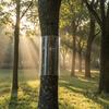 Защитный кожух для ствола дерева для игуаны, обертка для ствола дерева из ПЭТ-пластика, защита коры с прозрачной двусторонней лентой для защиты игуаны, кошки, животных