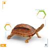 Детская имитация модели черепахи Статическая твердая модель Игрушка Набор животных Различные украшения в виде черепах Лучистая черепаха Бразильская красноухая черепаха