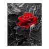 5D Diy Diamond Painting Ed Rose Diamond Embroidery Cross Stitch Home Decor Handmade Gifts