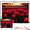 Полный 5D Diy Алмазная картина Цветы Тюльпаны 5D Алмазная картина