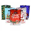 10/30pcs Christmas Gift Bags Cartoon Plastic Candy Cookie Packaging Bag Navidad Decoration for Home Kids New Year Gift
