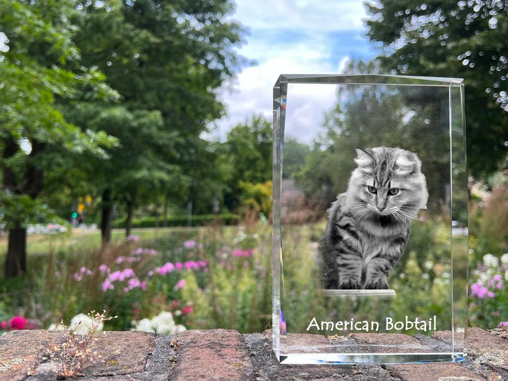 American Bobtail – Crystal with a picture of a cat, photo in glass | Art-Dog