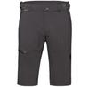 Mammut Шорты Runbold
