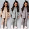 Autumn Winter Kids Girlcasual Gold Velvet Two-piece Set Long Sleeve Pants Solid Clothes for Infant Toddler Pullover Sweatshirt Set Teenage Outfits