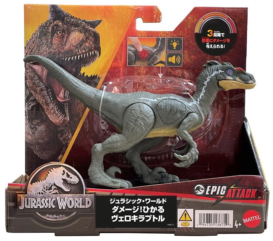 Mattel Jurassic World Хикару Велоцираптор возрастом 10 лет и повреждениями HNC11! [Общая длина приблизительно. 19,8 см] [4 вверх]