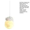 Panda Pendant Light 3D Moon Planet Hanging Lamp Bear Rabbit Chandelier