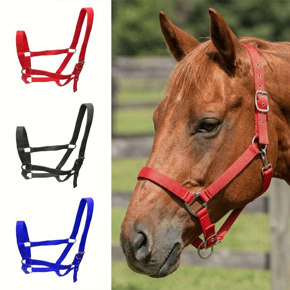 Adjustable Equestrian Bridle Durable Horse Training Rope Universal Fit Horse Halter Grassland