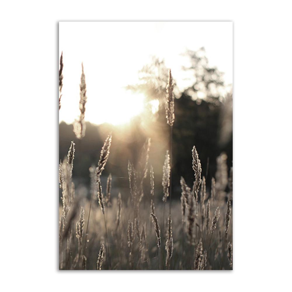 Hay Reed Wall Art Натуральный постер и принты Ветряная мельница Закат Скандинавская картина на холсте для спальни Настенная картина Украшение картин