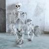 Halloween Decorative Skull Sculpture Movable/Posable Joints Body Anatomy Model Festival Theme Full Size Home Party Decorations
