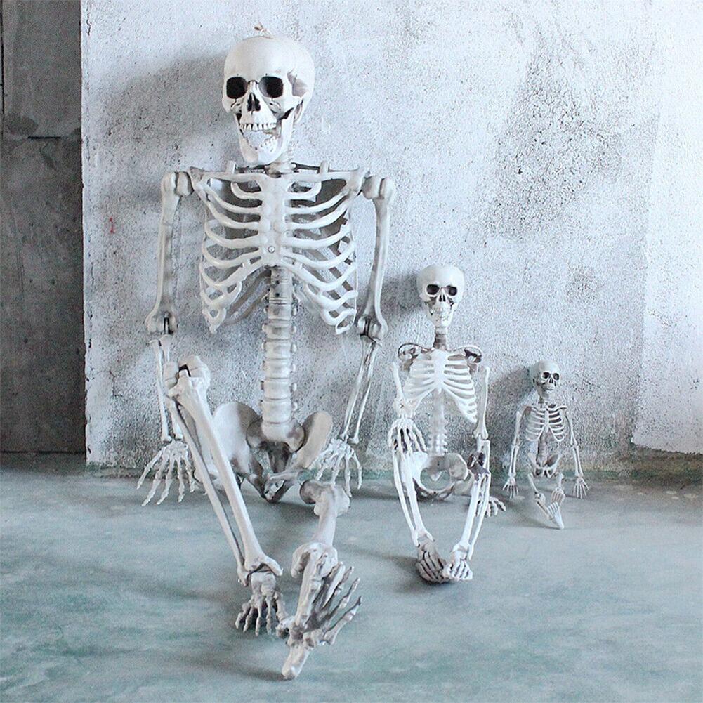 Halloween Decorative Skull Sculpture Movable/Posable Joints Body Anatomy Model Festival Theme Full Size Home Party Decorations