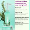 THE PLANT FIX Rosemary Anti Hairfall Duo for Hair Growth Shampoo + Spray 300ml
