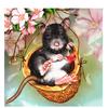 Алмазная вышивка Мышь Алмазная картина Животное Вышивка крестиком Полное сверление Изображение Стразы