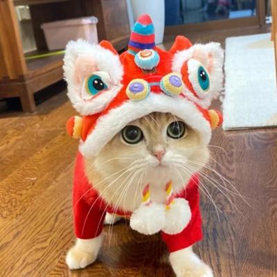 Осенью и зимой согревайте свою собаку. Забавная кошка превращается в шапку-маску с тигриной головой и головной убор на Новый год