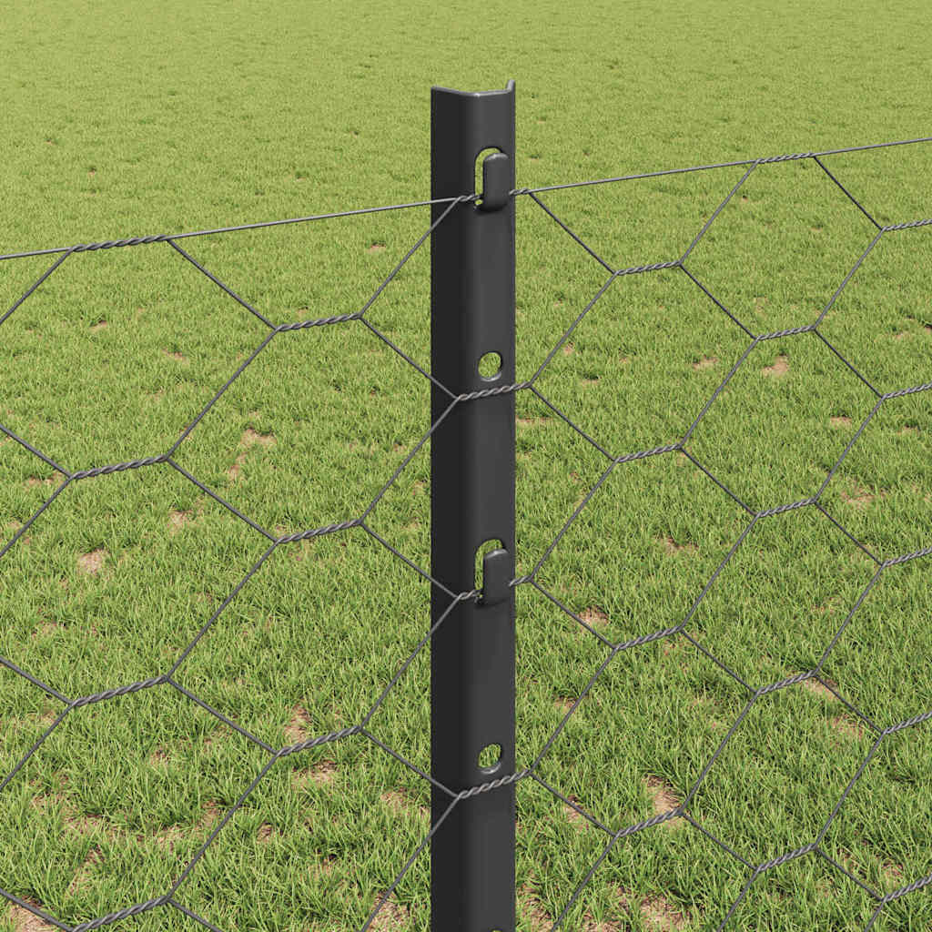 Welded Wire Fence 10 x 1.2 m (W x H)
