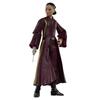 Hasbro Star Wars STAR WARS Black Series Star The Phantom Menace Collection 15 Cm Action For Ages 4 and Up G0025 Genuine Product Padmé Amidala, Wars