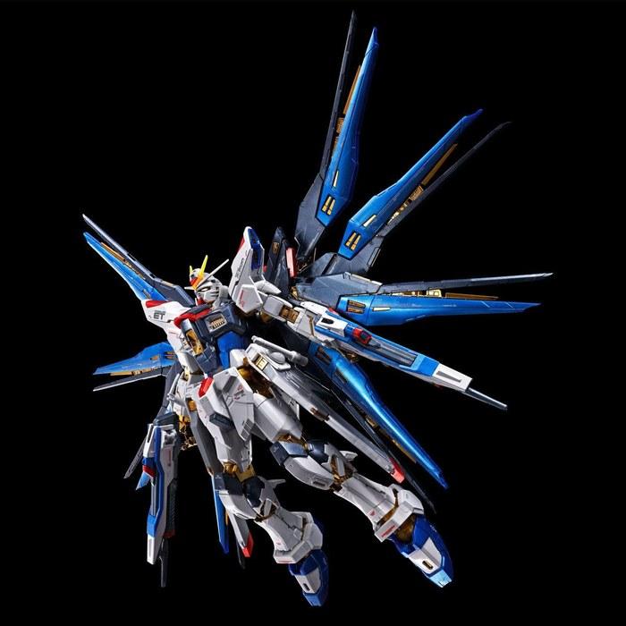 BANDAI RG 1/144 Strike Freedom Gundam [Titanium Finish] Model Kit (Hobby Online Shop Limited) blue