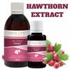Hawthorn Extract Tincture Herbal Liquid Supplement Dietary New Life