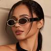 New Unisex Plastic Fashion Oval Sunglasses for Street Pography Beach Travel Party and Driving Accessories Eyewear