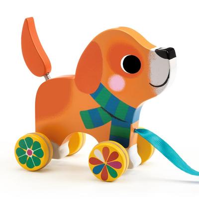 DJECO Лу Каталка на веревочке, Машинка на веревочке, Собачка на поводке, Развивающая игрушка для практики ходьбы, Подходит для малышей 1 года, 18 месяцев, 2 лет, Мальчиков и