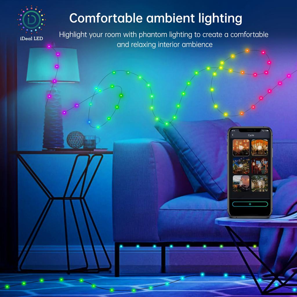 Waterproof Smart 5V RGBIC WS2812b Led Strings Fairy Light 10M 100Leds Dreamcolor Chasing Home Outdoor Decoration Music Sync