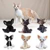 Devon Black Rex Cat Plush Toy Doll Pillows With Various Colored Eyes Girls Gift