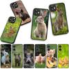 Cover for Apple iPhone 16 15 14 Plus 13 12 Mini 17 Pro Max + ProMax 16E Air Phone Case Rabbit Wild Boar Pig