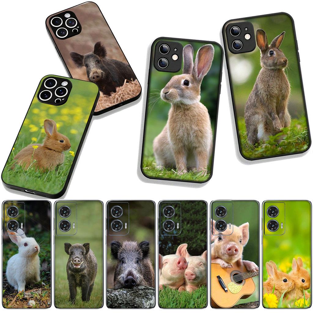 Cover for Apple iPhone 16 15 14 Plus 13 12 Mini 17 Pro Max + ProMax 16E Air Phone Case Rabbit Wild Boar Pig