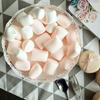 10 шт. Модель поддельного десерта маршмеллоу из глины, украшение для торта для витрины, фотографии, поддельный сахар