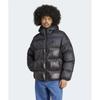 Down Regen Jacket Black Iw3454