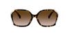Sunglasses 0HC8280U 512013 DARK GRADIENT LENS Japan 57 TORTOISE/BROWN (FREE Size)
