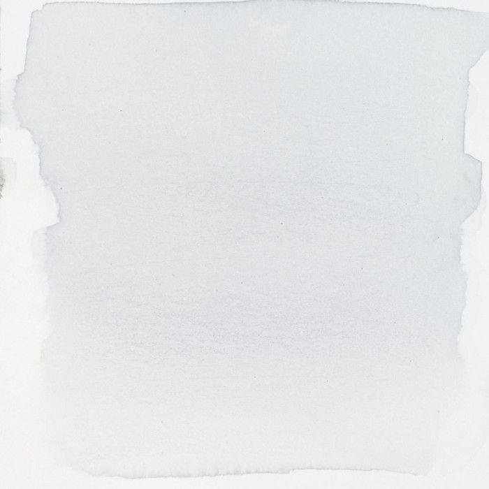Encre aquarelle - Royal Talens - Ecoline 30ml - Gris froid clair - Sèche rapidement - Pour adultes et enfants