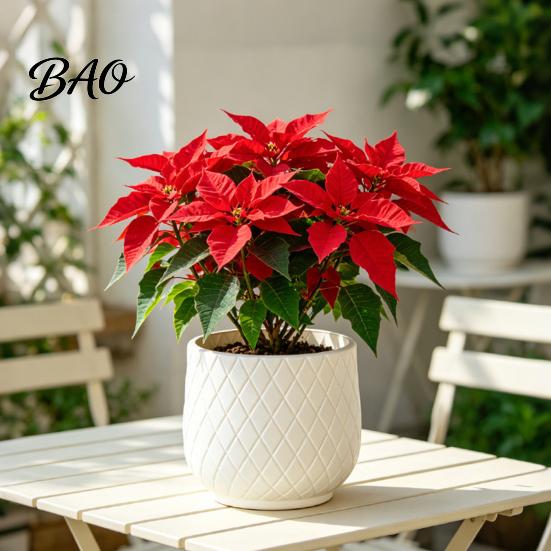 Durable PE Plant Holders for Home Decor Large Flower Pot with Rhombus Embossed Texture, Heavy Duty Planter Easy Clean Planters Porch Patio Indoor