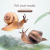 Simulated Snail Growth Cycle Educational Model for Children - Solid Insect Bonsai Toy
