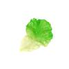 Mini PVC Lettuce Leaf Fake Food Props for Play and DIY