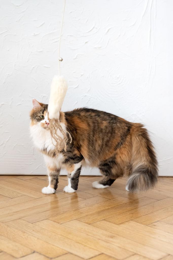 Natural Sheepskin Cat Toy: Fish Feathers/Stick