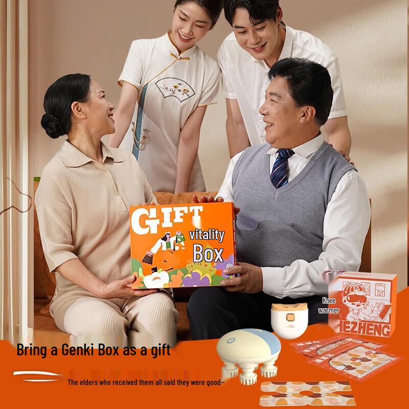 Hezheng Vitality Gift Set CN plug (adapter included)