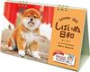 Shiba Inu Weather Mini (Impress Calendar 2022)