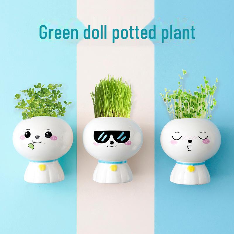 Creative Potted Plant Gifts for Kindergarten Birthdays and School Prizes