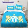 FC Luzern RugPattern Bedding Quilt Set Quilt Cover Pillowcase Home Decoration Birthday Gift (1 * duvet cover + 2 * pillowcase, without core)