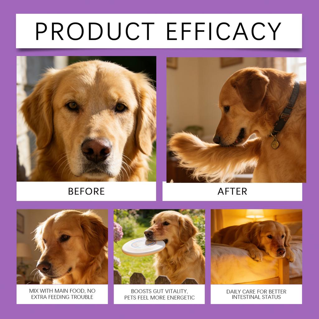 Пробиотический порошок для кишечника собак