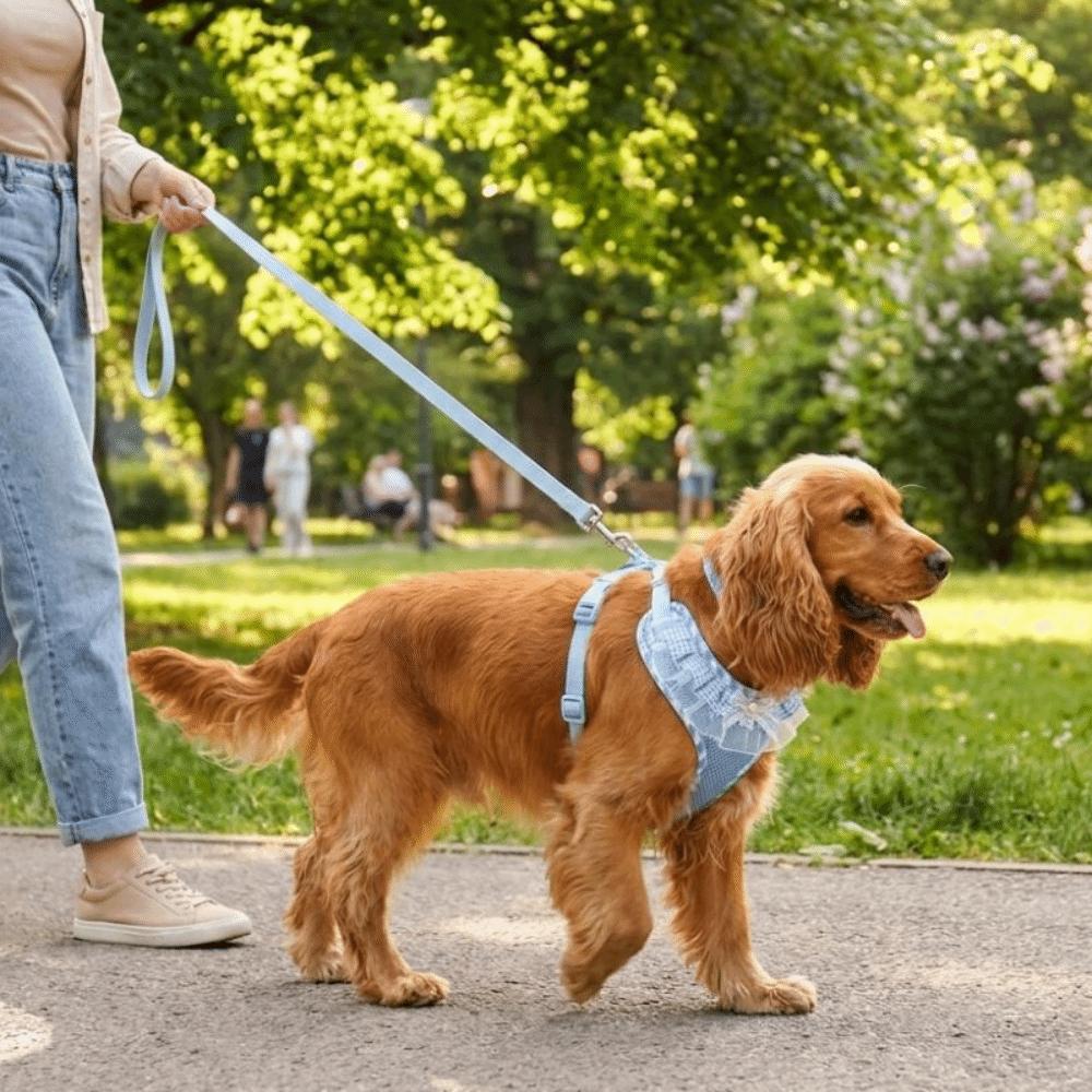 Breathable Mesh Cat Harness Leash Set Adjustable Dog Harness Vest Cat Tank Top Chest Strap Outdoor