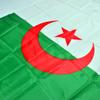 Флаг Алжира 90*150см.