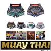 Лев Панда Кот Воин Дракон Будда Муай Тай ММА UFC Шорты Штаны Кикбоксинг Бокс Унисекс Мужские Женские Детские Быстросохнущие Принт Эластичный Полиэстер Тренировочные