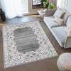 Washable Printed Carpet LNA0342